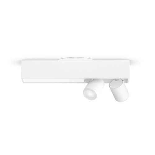 Centris 2-spot ceiling light