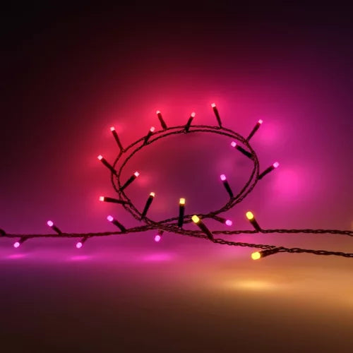 Festavia string lights- 131.2ft, 500 LEDs