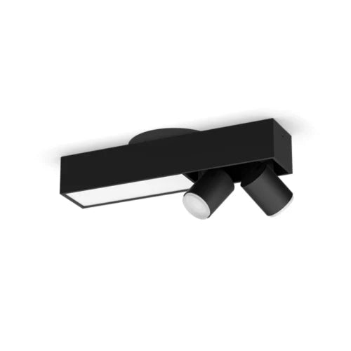 Centris 2-spot ceiling light